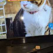 ヒメ日記 2025/02/22 20:30 投稿 谷口 鶯うぐ