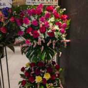 ヒメ日記 2025/03/09 14:06 投稿 谷口 鶯うぐ