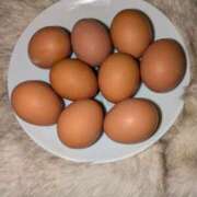 ヒメ日記 2025/03/27 23:46 投稿 谷口 鶯うぐ