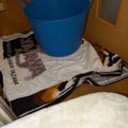 ヒメ日記 2025/03/29 09:52 投稿 谷口 鶯うぐ