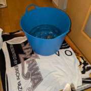 ヒメ日記 2025/03/29 12:48 投稿 谷口 鶯うぐ