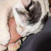 ヒメ日記 2025/04/04 16:38 投稿 谷口 鶯うぐ