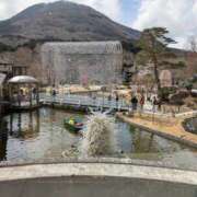 ヒメ日記 2025/04/16 10:06 投稿 谷口 鶯うぐ