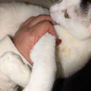 ヒメ日記 2025/04/17 21:30 投稿 谷口 鶯うぐ