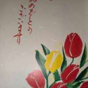 ヒメ日記 2025/05/02 09:42 投稿 谷口 鶯うぐ