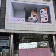 ヒメ日記 2025/05/05 10:08 投稿 谷口 鶯うぐ