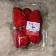 ヒメ日記 2025/05/06 10:06 投稿 谷口 鶯うぐ