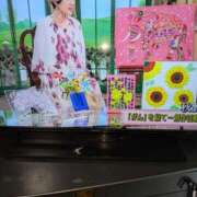 ヒメ日記 2025/05/19 13:30 投稿 谷口 鶯うぐ