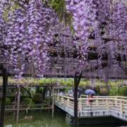 ヒメ日記 2026/04/21 19:14 投稿 谷口 鶯うぐ