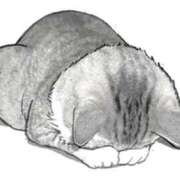 ヒメ日記 2026/02/13 18:05 投稿 エル 谷町人妻ゴールデン倶楽部