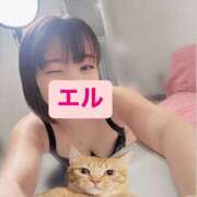 ヒメ日記 2026/02/16 13:50 投稿 エル 谷町人妻ゴールデン倶楽部