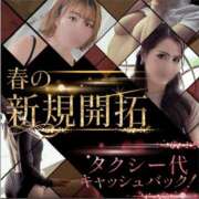 ヒメ日記 2026/04/03 00:25 投稿 エル 谷町人妻ゴールデン倶楽部