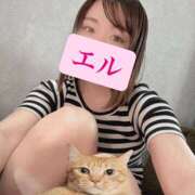 エル エル日記 谷町人妻ゴールデン倶楽部