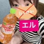 ヒメ日記 2026/04/25 10:55 投稿 エル 谷町人妻ゴールデン倶楽部