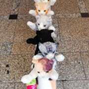 ヒメ日記 2025/02/21 09:00 投稿 かずえ エロティックマッサージ 錦糸町