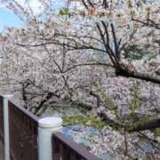 ヒメ日記 2025/04/18 14:09 投稿 かずえ エロティックマッサージ 錦糸町