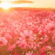 ヒメ日記 2025/03/04 14:45 投稿 あすか 熟女の風俗最終章 本厚木店