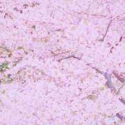 ヒメ日記 2025/03/09 14:57 投稿 あすか 熟女の風俗最終章 本厚木店