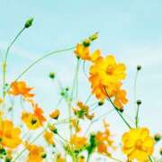 ヒメ日記 2025/03/21 14:57 投稿 あすか 熟女の風俗最終章 本厚木店