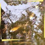 ヒメ日記 2025/03/29 13:05 投稿 あすか 熟女の風俗最終章 本厚木店