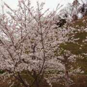 ヒメ日記 2025/04/10 18:31 投稿 あすか 熟女の風俗最終章 本厚木店