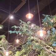 ヒメ日記 2025/04/20 16:08 投稿 あすか 熟女の風俗最終章 本厚木店