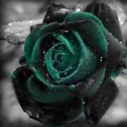 ヒメ日記 2025/04/22 19:00 投稿 あすか 熟女の風俗最終章 本厚木店