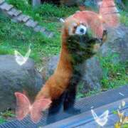 あすか こんにちは^^ 熟女の風俗最終章 本厚木店