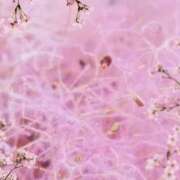 ヒメ日記 2025/12/21 09:53 投稿 あすか 熟女の風俗最終章 本厚木店