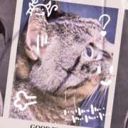 ヒメ日記 2025/12/23 12:51 投稿 あすか 熟女の風俗最終章 本厚木店