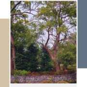 あすか こんにちは☆ 熟女の風俗最終章 本厚木店