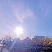 ヒメ日記 2026/01/29 14:51 投稿 あすか 熟女の風俗最終章 本厚木店