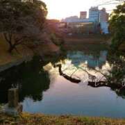 ヒメ日記 2026/02/03 16:13 投稿 あすか 熟女の風俗最終章 本厚木店