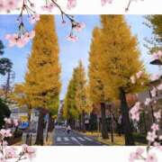 ヒメ日記 2026/02/14 15:17 投稿 あすか 熟女の風俗最終章 本厚木店