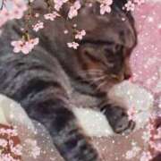 ヒメ日記 2026/02/24 13:11 投稿 あすか 熟女の風俗最終章 本厚木店