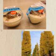 ヒメ日記 2026/02/26 14:08 投稿 あすか 熟女の風俗最終章 本厚木店