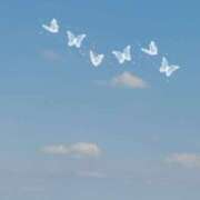 ヒメ日記 2026/03/15 15:21 投稿 あすか 熟女の風俗最終章 本厚木店