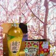 ヒメ日記 2026/03/29 09:01 投稿 あすか 熟女の風俗最終章 本厚木店