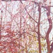 ヒメ日記 2026/04/04 15:05 投稿 あすか 熟女の風俗最終章 本厚木店