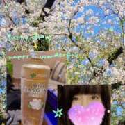 ヒメ日記 2026/04/06 07:41 投稿 あすか 熟女の風俗最終章 本厚木店