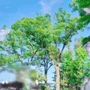 ヒメ日記 2026/06/25 23:51 投稿 あすか 熟女の風俗最終章 本厚木店
