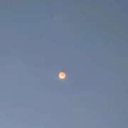 ヒメ日記 2025/09/11 14:58 投稿 えま 京都BOOK MARK（ブックマーク）