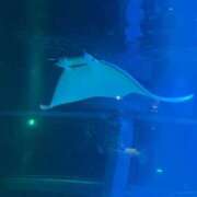 ヒメ日記 2025/09/29 14:55 投稿 えま 京都BOOK MARK（ブックマーク）