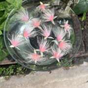 ヒメ日記 2025/10/09 15:23 投稿 えま 京都BOOK MARK（ブックマーク）