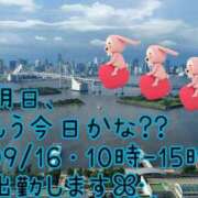 ヒメ日記 2024/09/15 02:21 投稿 つぼみ 丸妻 横浜本店