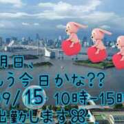 ヒメ日記 2024/09/15 02:30 投稿 つぼみ 丸妻 横浜本店