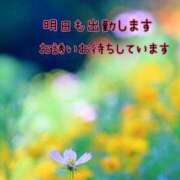 ヒメ日記 2024/10/08 18:42 投稿 つぼみ 丸妻 横浜本店