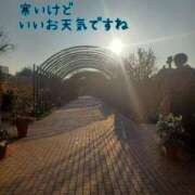 ヒメ日記 2025/01/26 21:01 投稿 つぼみ 丸妻 横浜本店