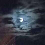 ヒメ日記 2025/02/13 11:59 投稿 つぼみ 丸妻 横浜本店