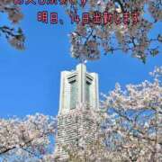 ヒメ日記 2025/03/13 19:07 投稿 つぼみ 丸妻 横浜本店